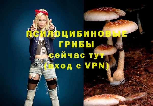 каннабис Лабытнанги