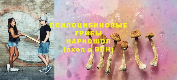 бутират Лагань