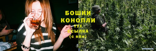 бутират Лагань