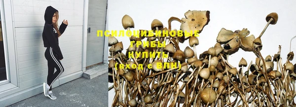 трава Ладушкин