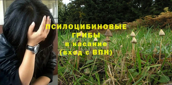 каннабис Лабытнанги