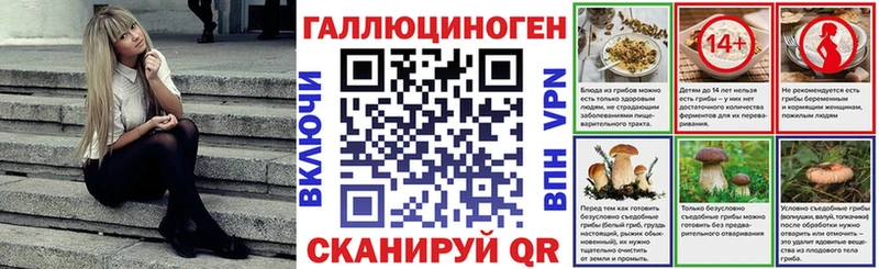 Псилоцибиновые грибы Psilocybe  Купить  Новосокольники 
